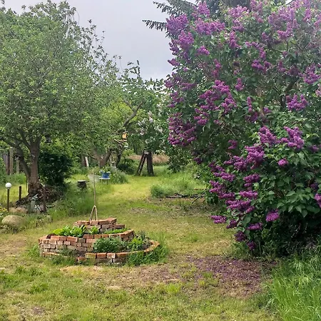 Fischerhaus Am Strom Dom wakacyjny Spandowerhagen
