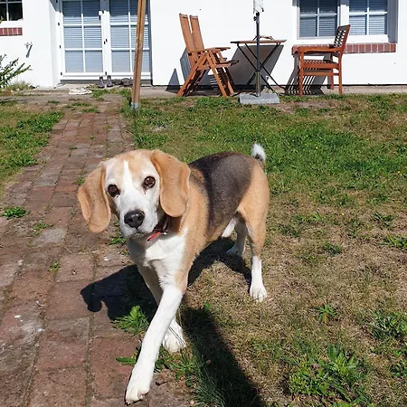 Fischerhaus Am Strom *